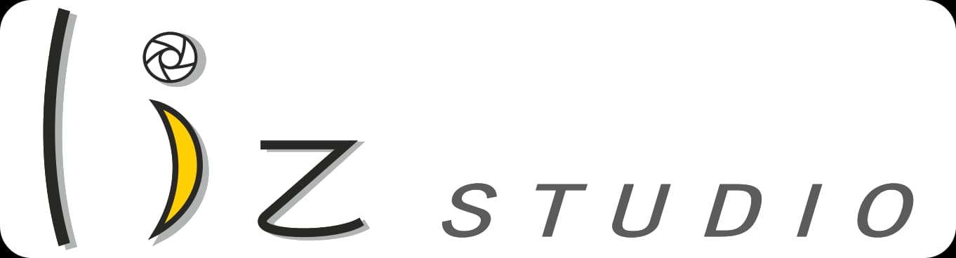 Lizstudio